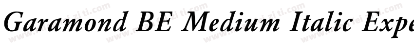 Garamond BE Medium Italic Expert字体转换